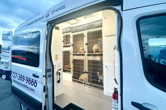 Dogs resting in the van’s climate-controlled stainless kennels