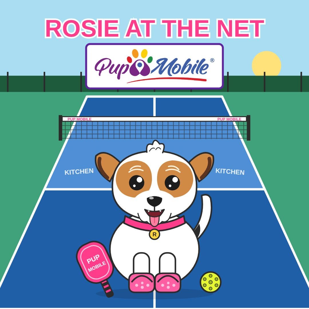 Rosie at the Net, a cartoon of Rosie on a pickleball court