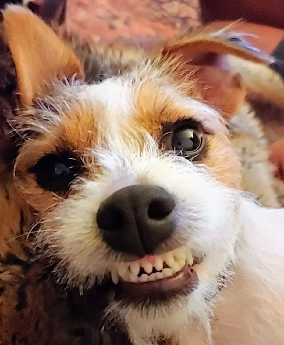 Rosie grinning
